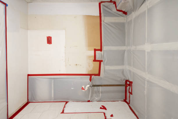 Best Mold Removal for HVAC Installations  in Agoura Hills, CA